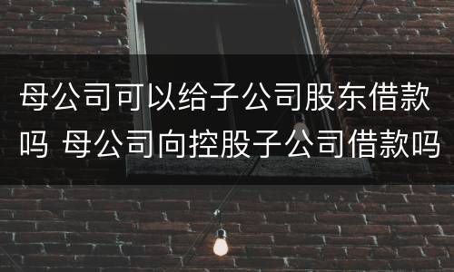 母公司可以给子公司股东借款吗 母公司向控股子公司借款吗