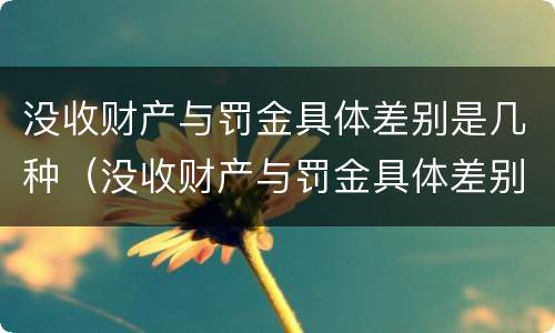 没收财产与罚金具体差别是几种（没收财产与罚金具体差别是几种情况）