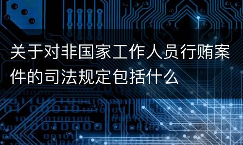 关于对非国家工作人员行贿案件的司法规定包括什么