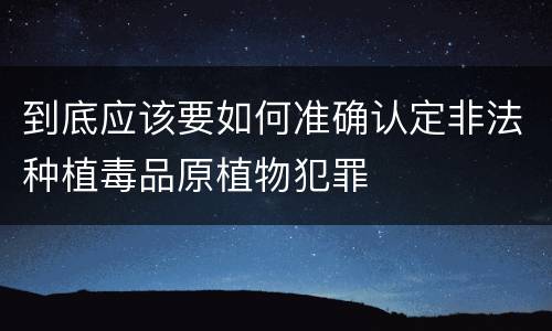 到底应该要如何准确认定非法种植毒品原植物犯罪