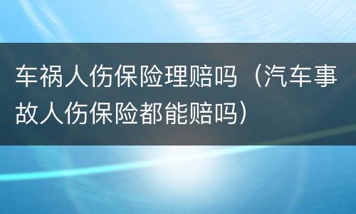 车祸人伤保险理赔吗（汽车事故人伤保险都能赔吗）