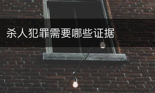 杀人犯罪需要哪些证据