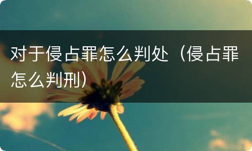 对于侵占罪怎么判处（侵占罪怎么判刑）