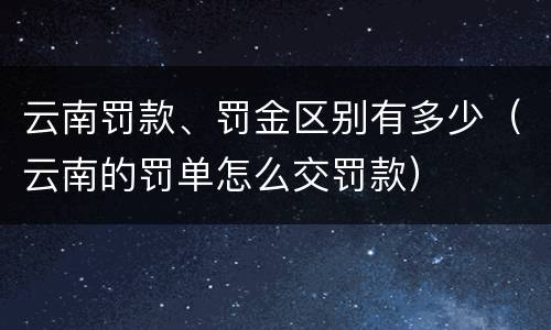云南罚款、罚金区别有多少（云南的罚单怎么交罚款）