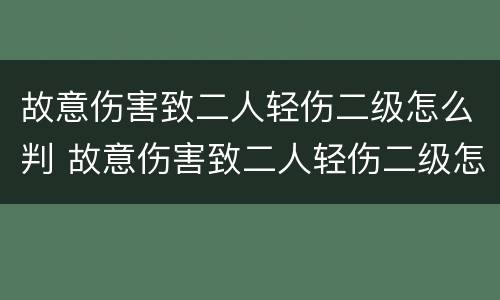故意伤害致二人轻伤二级怎么判 故意伤害致二人轻伤二级怎么判定