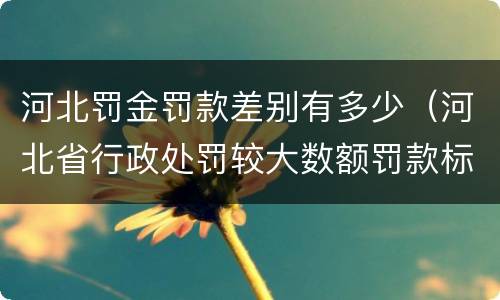 河北罚金罚款差别有多少（河北省行政处罚较大数额罚款标准）