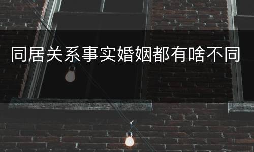 同居关系事实婚姻都有啥不同