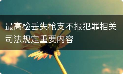 最高检丢失枪支不报犯罪相关司法规定重要内容