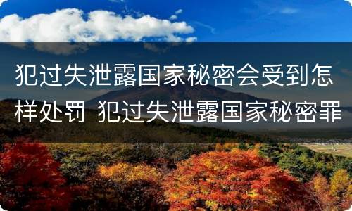 犯过失泄露国家秘密会受到怎样处罚 犯过失泄露国家秘密罪