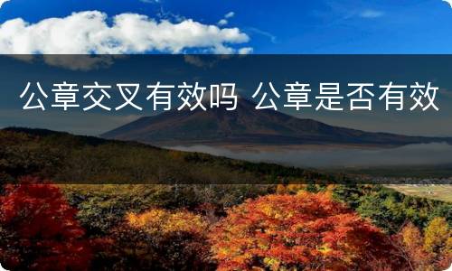 公章交叉有效吗 公章是否有效