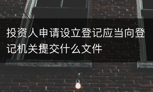 投资人申请设立登记应当向登记机关提交什么文件