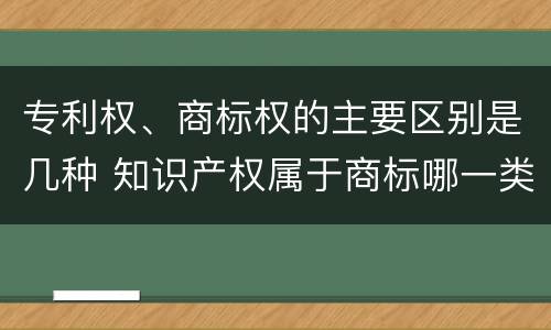 专利权、商标权的主要区别是几种 知识产权属于商标哪一类