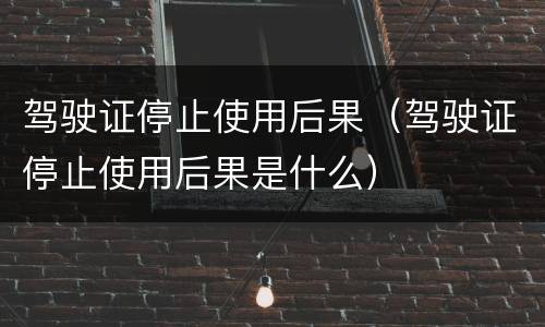 驾驶证停止使用后果（驾驶证停止使用后果是什么）