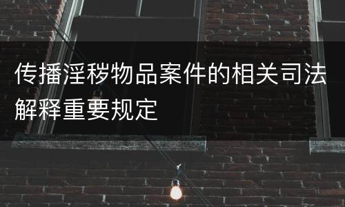 传播淫秽物品案件的相关司法解释重要规定
