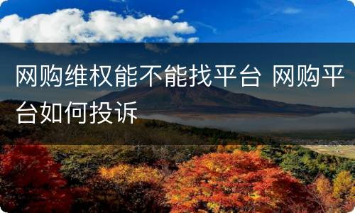 网购维权能不能找平台 网购平台如何投诉