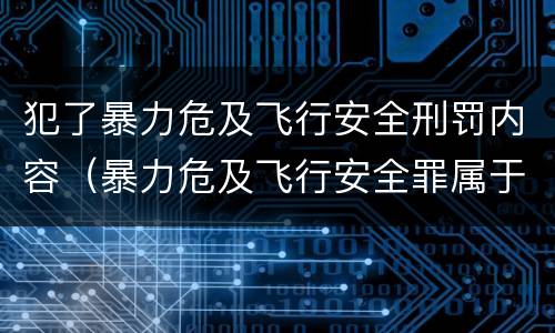 犯了暴力危及飞行安全刑罚内容（暴力危及飞行安全罪属于行为犯）