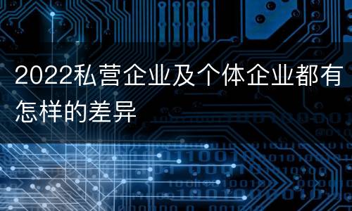 2022私营企业及个体企业都有怎样的差异