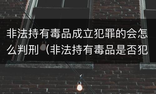 非法持有毒品成立犯罪的会怎么判刑（非法持有毒品是否犯罪）