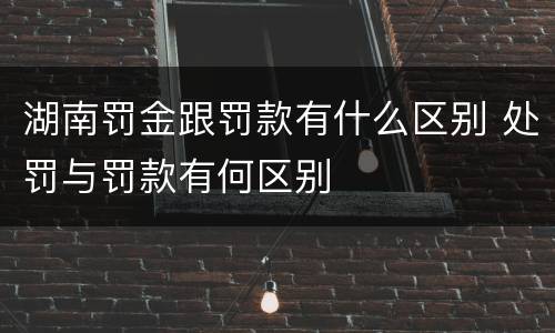 湖南罚金跟罚款有什么区别 处罚与罚款有何区别