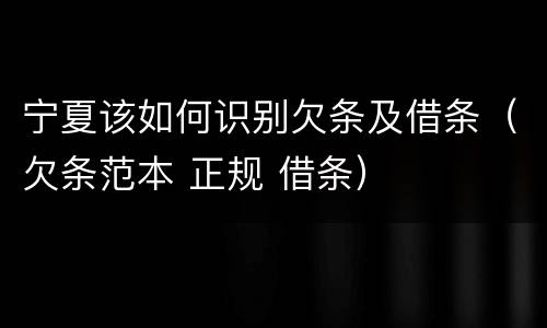 宁夏该如何识别欠条及借条（欠条范本 正规 借条）