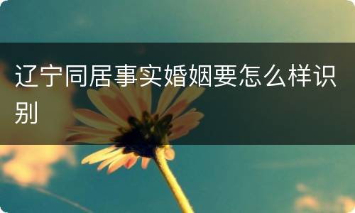 辽宁同居事实婚姻要怎么样识别