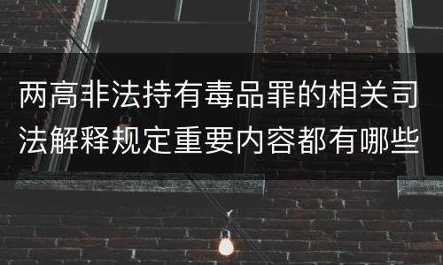 两高非法持有毒品罪的相关司法解释规定重要内容都有哪些