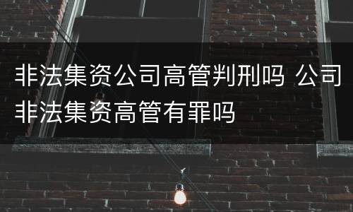 非法集资公司高管判刑吗 公司非法集资高管有罪吗