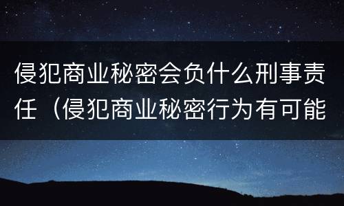 侵犯商业秘密会负什么刑事责任（侵犯商业秘密行为有可能承担哪些法律责任）