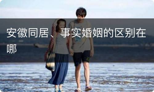 安徽同居、事实婚姻的区别在哪