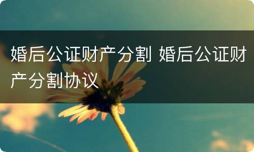 婚后公证财产分割 婚后公证财产分割协议