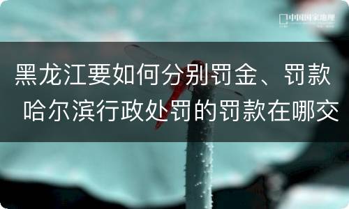 黑龙江要如何分别罚金、罚款 哈尔滨行政处罚的罚款在哪交
