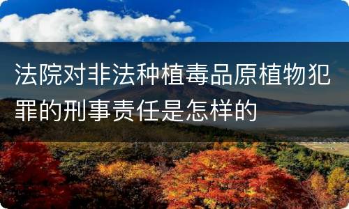 法院对非法种植毒品原植物犯罪的刑事责任是怎样的