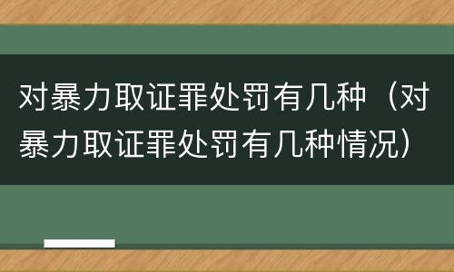 对暴力取证罪处罚有几种（对暴力取证罪处罚有几种情况）