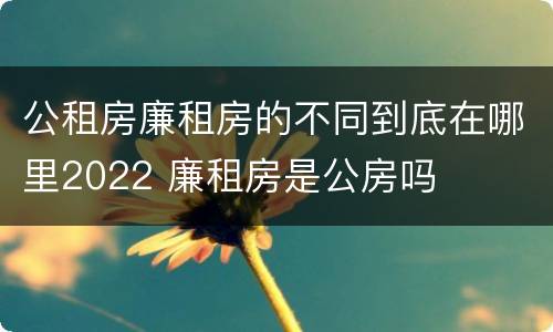 公租房廉租房的不同到底在哪里2022 廉租房是公房吗