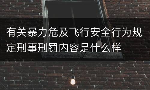 有关暴力危及飞行安全行为规定刑事刑罚内容是什么样