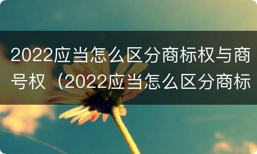 2022应当怎么区分商标权与商号权（2022应当怎么区分商标权与商号权和商标权）