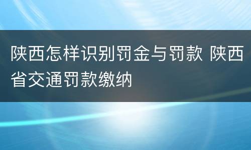 陕西怎样识别罚金与罚款 陕西省交通罚款缴纳