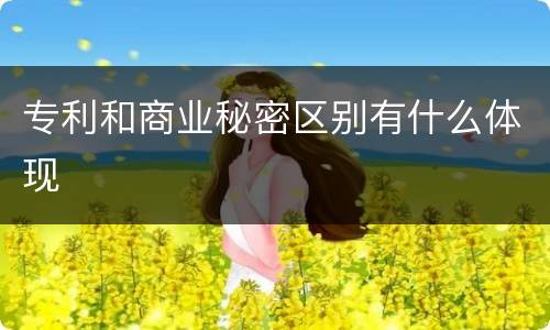专利和商业秘密区别有什么体现