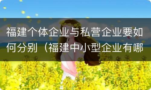 福建个体企业与私营企业要如何分别（福建中小型企业有哪些）