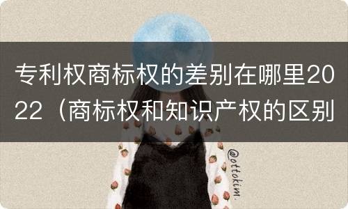 专利权商标权的差别在哪里2022（商标权和知识产权的区别）