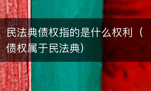 民法典债权指的是什么权利（债权属于民法典）