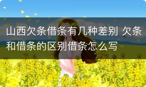 山西欠条借条有几种差别 欠条和借条的区别借条怎么写