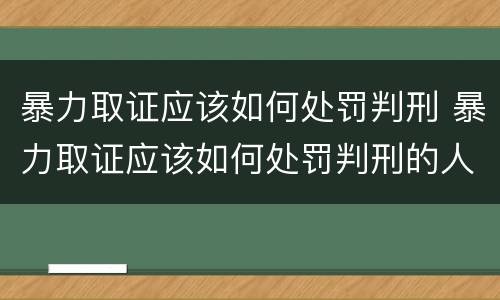 暴力取证应该如何处罚判刑 暴力取证应该如何处罚判刑的人