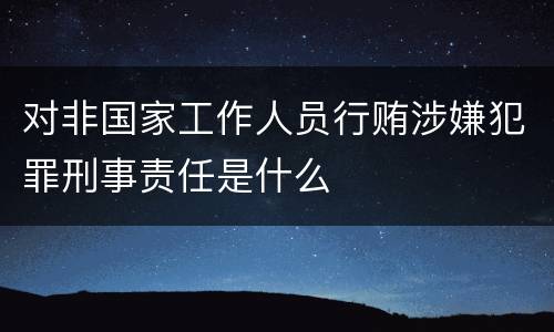 对非国家工作人员行贿涉嫌犯罪刑事责任是什么