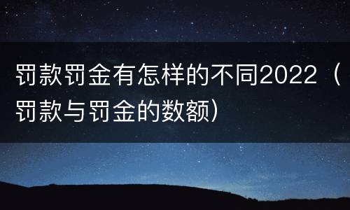 罚款罚金有怎样的不同2022（罚款与罚金的数额）