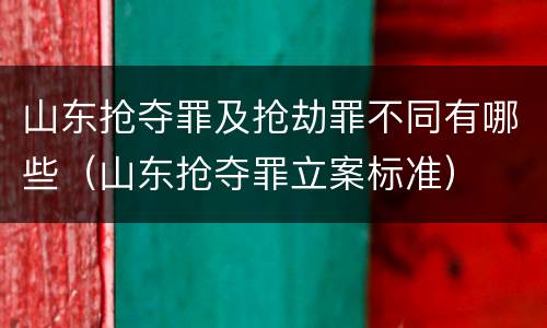 山东抢夺罪及抢劫罪不同有哪些（山东抢夺罪立案标准）