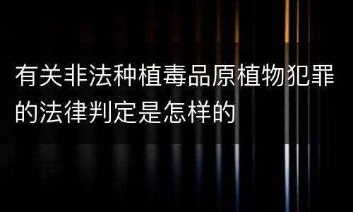 有关非法种植毒品原植物犯罪的法律判定是怎样的