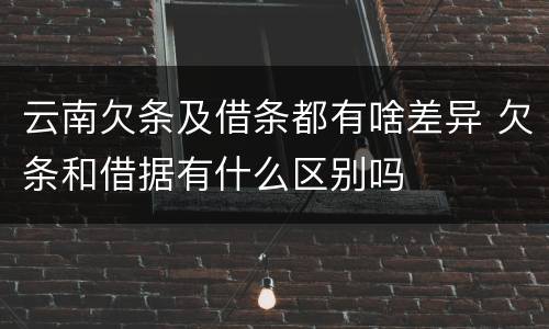 云南欠条及借条都有啥差异 欠条和借据有什么区别吗