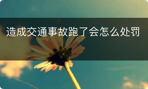 造成交通事故跑了会怎么处罚