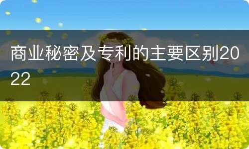 商业秘密及专利的主要区别2022